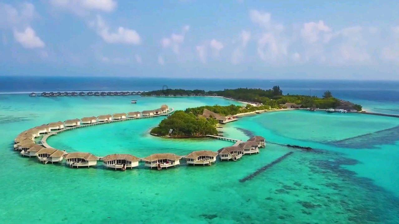 职场上的势利眼是很愚蠢的，容易被人利用，退休领导揭秘职场现实